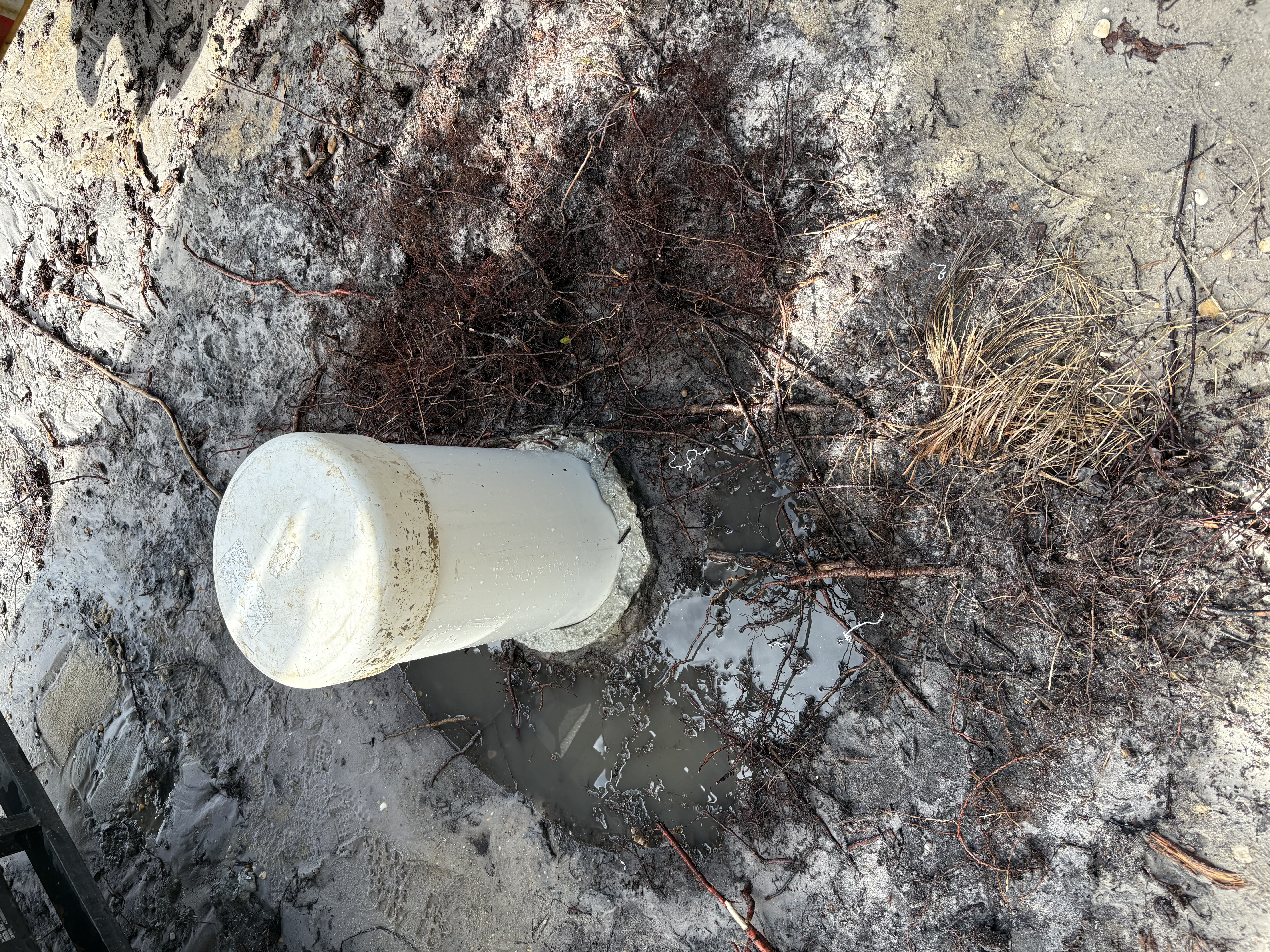 A 12 inch well with grout ring around the entire well